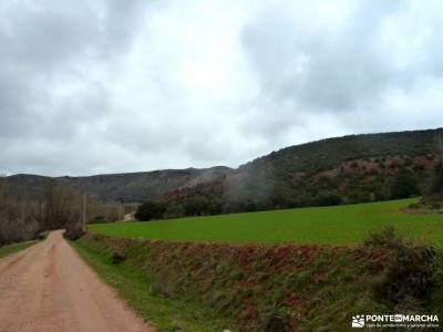 Cañón Caracena; Encina  Valderromán; navafria castillo de viñuelas barrancas de burujon valsain